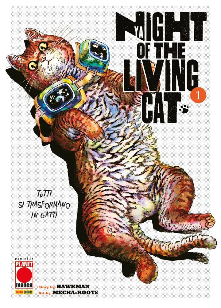 cat