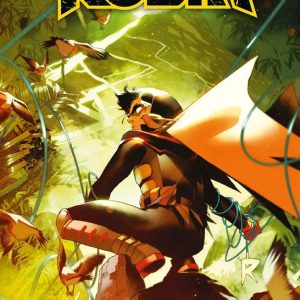 ROBIN 3: SEGRETI E OMBRE